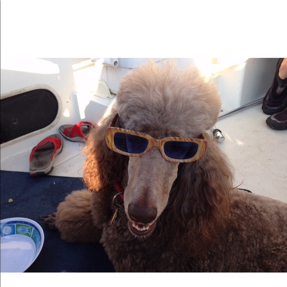 Help  my Mom pay for my broken leg! - Picture 7 of 13